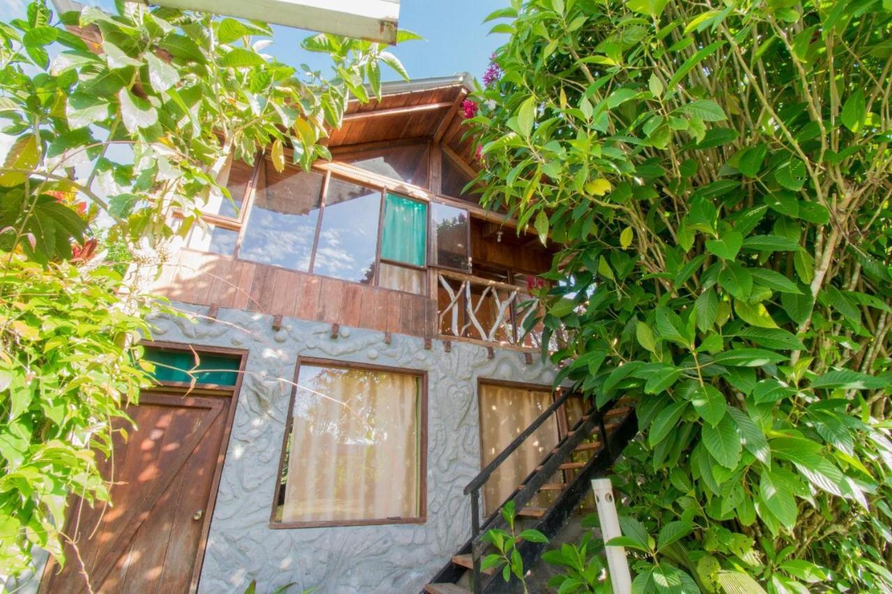 Hosteria Los Cedros De ミンド エクステリア 写真