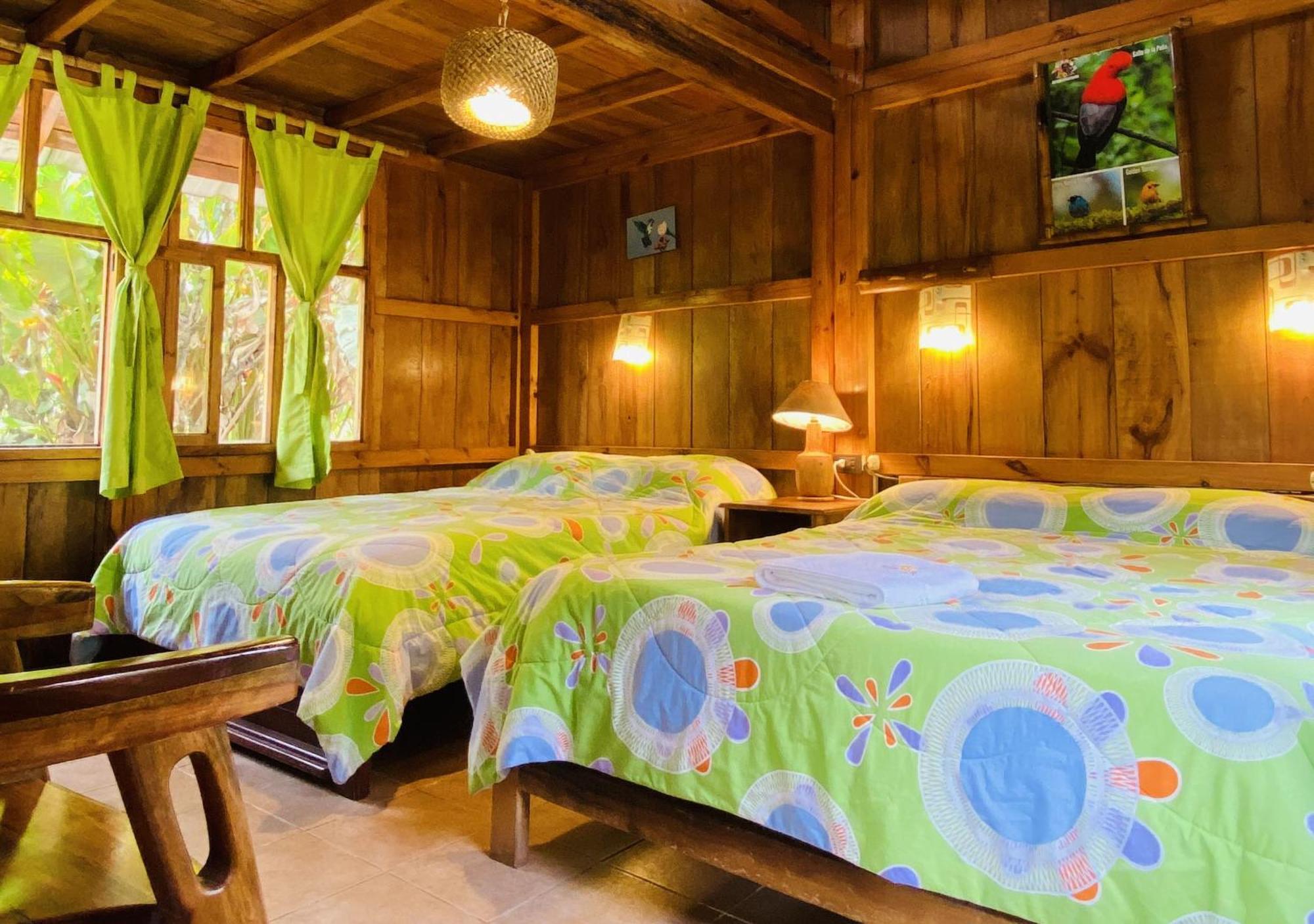 Hosteria Los Cedros De ミンド エクステリア 写真