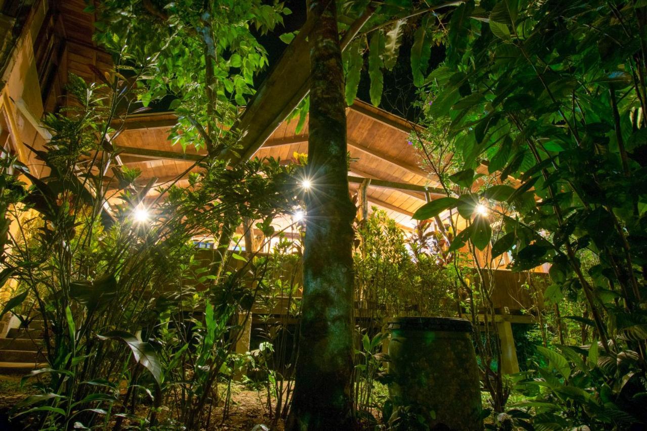 Hosteria Los Cedros De ミンド エクステリア 写真